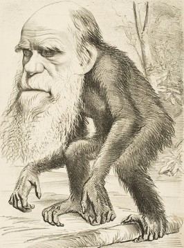 As evolution became widely accepted in the 1870s, caricatures of Charles Darwin with an ape or monkey body symbolised evolution/Wikipedia 