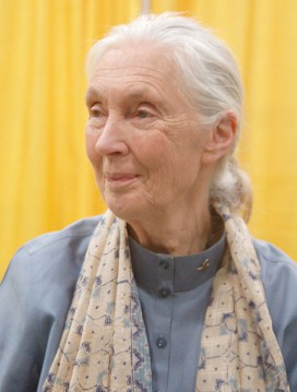 Jane Goodall 