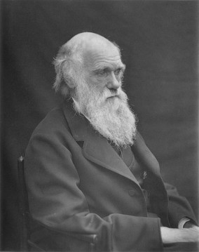 476px 1878 Darwin photo by Leonard from Woodall 1884 cropped grayed partially cleaned1