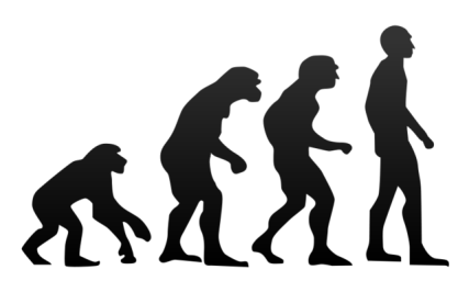 The Evolutionary Psychology of Cosmides & Tooby/Suite101