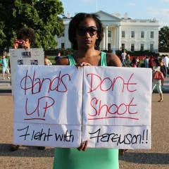 Protest in response to the killing of Michael Brown (Ferguson MO) in front of the White House /by Elvert Barnes Protest Photography