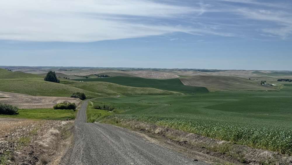 How gravel roads transformed my view of home 1 Gravel road through the Palouse/Tracy Simmons - FāVS News