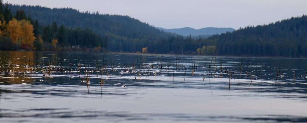 Lake Coeur dAlene 1