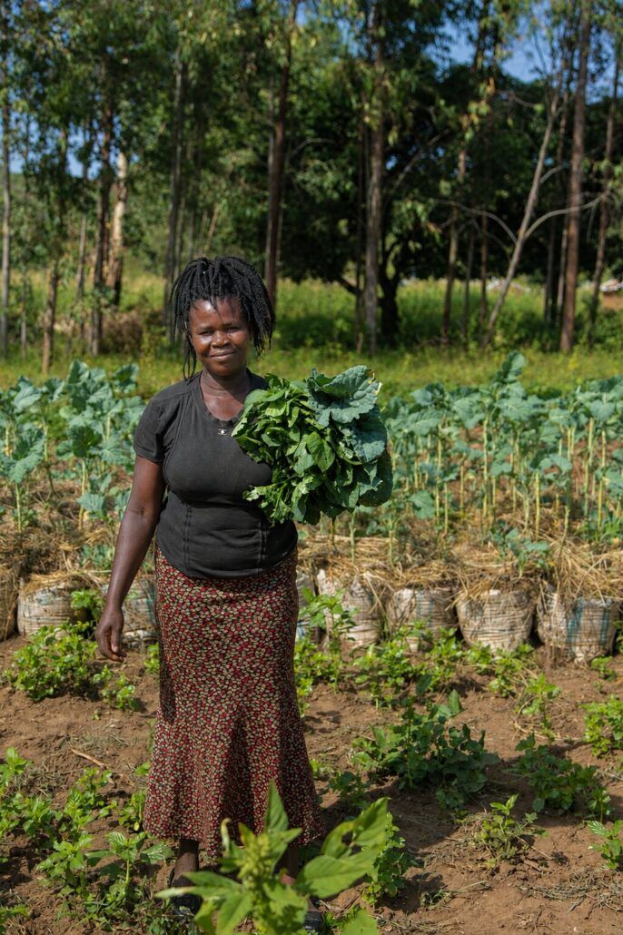 kenya